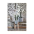 Miniatyrbillede 5 af 6: Urtepotteholder Mica Decorations Ascot Urtepotteholder Træ 48 x 33 x 33 cm