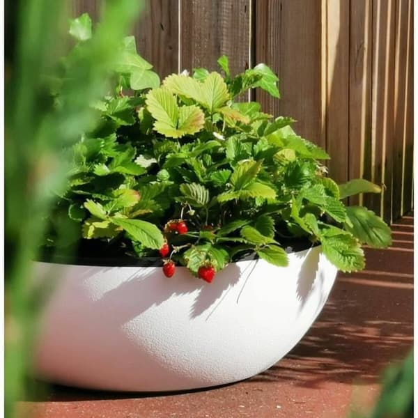 Urtepotte Riviera Hvid Ø 40 cm