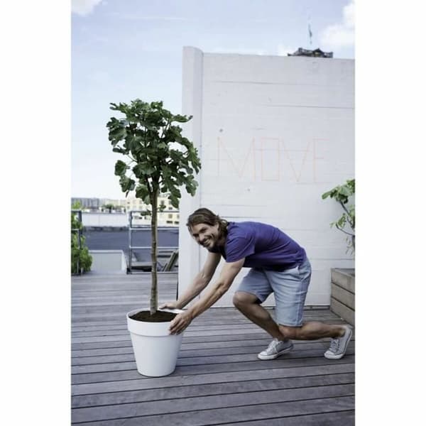 Urtepotte Elho Loft Urban Grå Cirkulær Ø 50 cm
