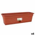 Miniatyrbillede 1 af 2: Planter med fad Dem Greentime Rektangulær Brun 60 x 20 x 17,3 cm (6 enheder)