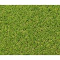 Miniatyrbillede 3 af 4: Kunstgræs Exelgreen Campus 2D 1 x 5 m 25 mm
