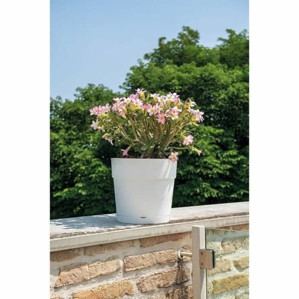 Urtepotte Deroma Hvid 48 x 43 cm 58 L