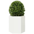 Miniatyrbillede 4 af 11: vidaXL plantekasse 46x40x45 cm sekskantet stål hvid