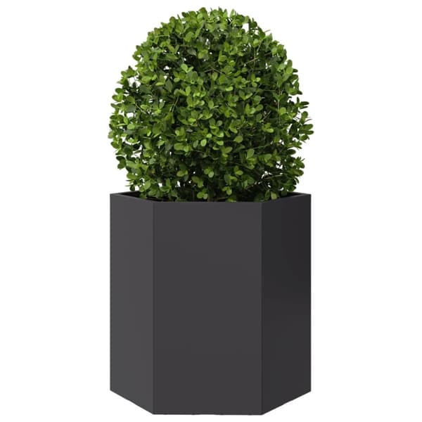 vidaXL Istutuskoneet 2kpl musta kuusikulma 46x40x45 cm teräs