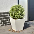 Miniatyrbillede 2 af 11: vidaXL plantekasse 30x30x30 cm stål hvid