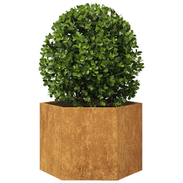 vidaXL Odlingslåda sexkantig 69x60x45 cm vittringsstål