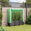 Miniatyrbillede 4 af 10: vidaXL højbed med drivhusovertræk 120x40x138 cm rattan-look