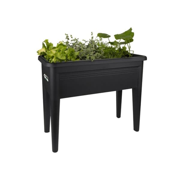 Plantestøtte Elho Green Basics XXL Svart Plast 75 cm