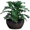 Miniatyrbild 3 av 3: Cup - GARDEN ID - Green Care Impact Black-Anth - 35 x 16 cm - 10 års garanti - 100 % återvunnen - UV/gelbeständig