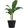 Pikkukuva 3 / 5: Blomkruka - GARDEN ID - Green Care Sense Black-Antracit - 50 x 41 cm - 10 års garanti - 100 % återvunnet - UV- och frostbeständighet