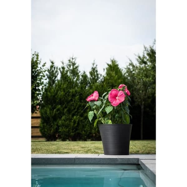Blomkruka - GARDEN ID - Green Care Sense Black-Antracit - 50 x 41 cm - 10 års garanti - 100 % återvunnet - UV- och frostbeständighet