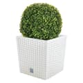 Miniatyrbillede 1 af 7: Wellhome Prosperplast Rato 32l Blomsterkrukke Sæt 2 Enheder