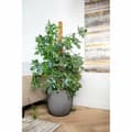 Miniatyrbilde 2 av 3: Planter Capi Europe Plast Ø 43 cm
