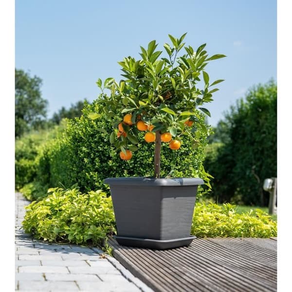 Fyrkantig blomkruka - GARDEN ID - Teramo svart-antracit - 40 x 35 cm - Reptålig - Steneffekt - Med hål