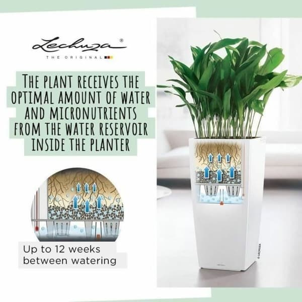 Urtepotte Lechuza 40 x 40 x 76 cm Sort polypropylen Plastik Rektangulær