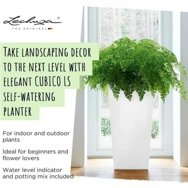 Urtepotte Lechuza 40 x 40 x 76 cm Sort polypropylen Plastik Rektangulær