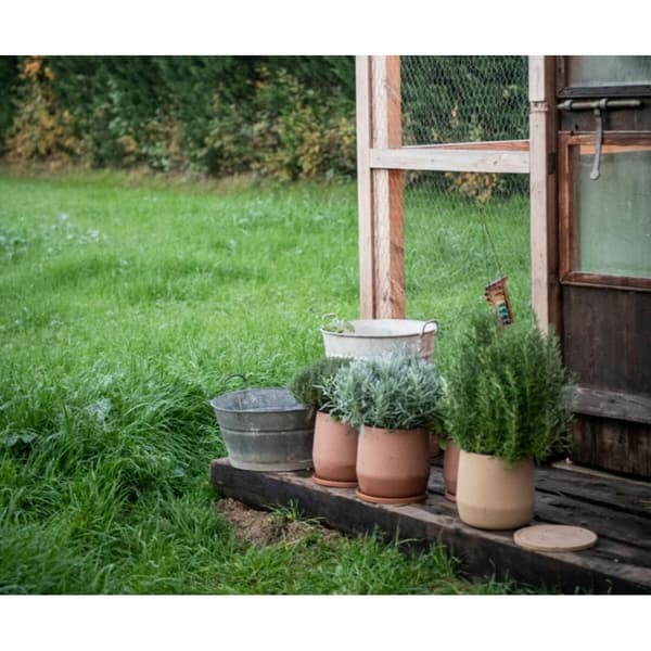 Urtepotte med fad Alexandra House Living Terrakotta Keramik 18 x 18 x 18 cm