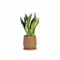 Miniatyrbillede 1 af 4: Urtepotte med fad Alexandra House Living Terrakotta Keramik 18 x 18 x 18 cm