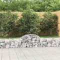 Miniatyrbild 1 av 2: Gabion bågformad 14 st 200x30x40/60 cm galvaniserat järn