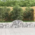Miniatyrbild 1 av 2: Gabion bågformad 5 st 200x30x40/60 cm galvaniserat järn