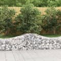 Miniatyrbild 1 av 2: Gabion bågformad 200x50x40/60 cm galvaniserat järn