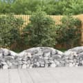 Miniatyrbild 1 av 2: Gabion bågformad 150x30x40/60 cm galvaniserat järn