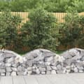 Miniatyrbild 1 av 2: Gabion bågformad 100x50x40/60 cm galvaniserat järn