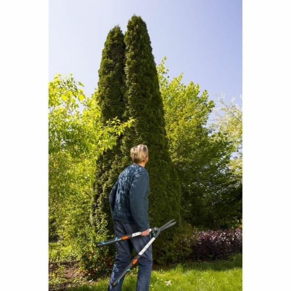Sekatörer Gardena 25 cm Bypass