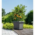 Miniatyrbillede 3 af 3: Urtepotte Garden ID Antracit Firkantet Steneffekt 40 x 35 cm