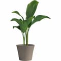 Miniatyrbilde 3 av 3: Dekorative Pongponger Garden ID Baige 30 x 27 cm