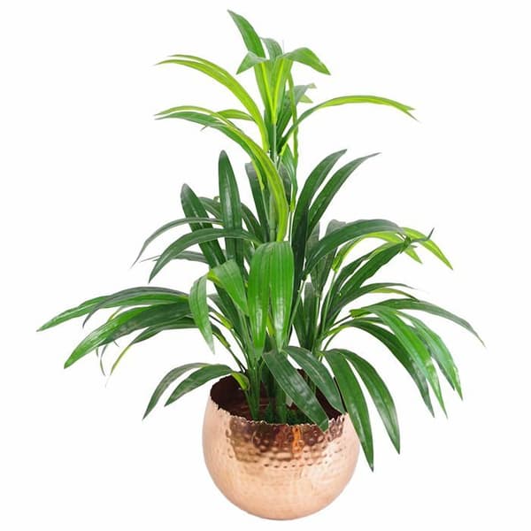 Jardiniere - Löv blomlåda - LEAF-7307 - Stor hamrad metallkruka 22 x 17 cm Böjd kant 22 x 17 cm