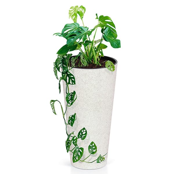 Prosperplast Blomsterkrukke 15l Tubus Slim Eco Collection 30x30x57.2 Cm Transparent