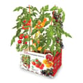 Miniatyrbillede 1 af 2: Dyrkning Set Batlle Naturlige tomater 30 x 19,5 x 16,2 cm
