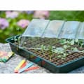 Miniatyrbillede 3 af 5: Dyrkning Set Nature 11 x 35 x 23,5 cm