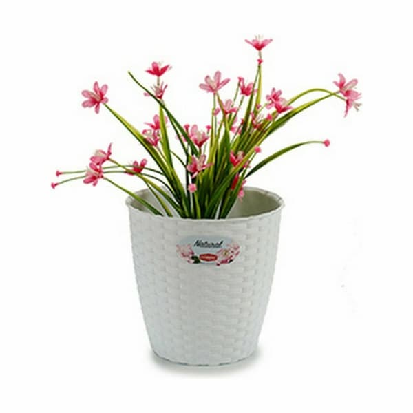 Kasvit Stefanplast Valkoinen Muovinen 19 x 17,5 x 19 cm (12 osaa)