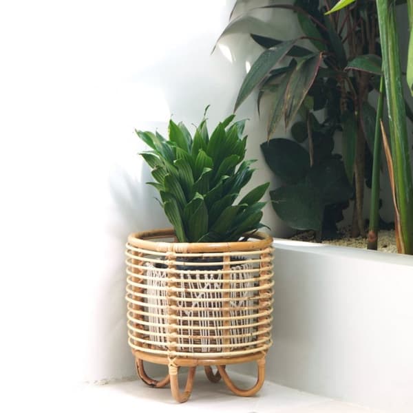 Rootz Rattan Planteholder Planteholder Urtepotteholder MALANG beige