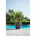 Miniatyrbillede 2 af 2: Urtepotte Garden ID Phoenix Anthracite Antracit 48 x 42 cm