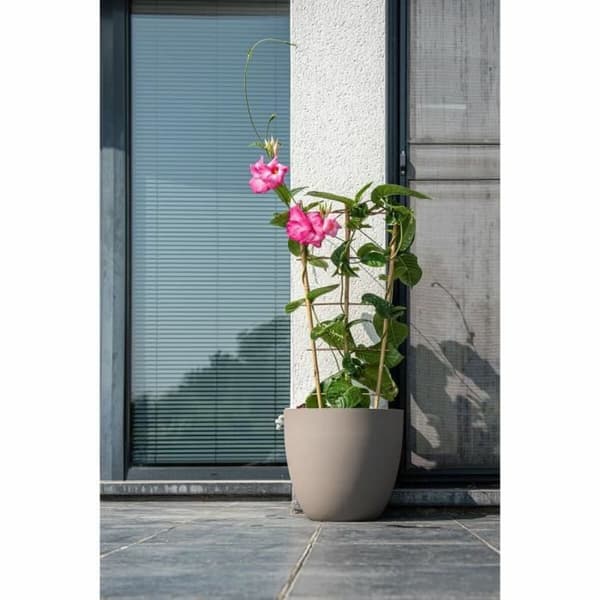 Kasvit Garden ID Phoenix Taupe Ruskeanharmaa 48 x 42 cm