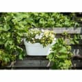 Pikkukuva 2 / 2: Itsekasteleva kukkalaatikko Garden ID Valkoinen