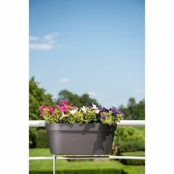 Självvattnande planter Garden ID