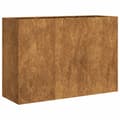 Pikkukuva 3 / 10: vidaXL Kukkalaatikko ruoste 120x40x80 cm säänkestävä teräs