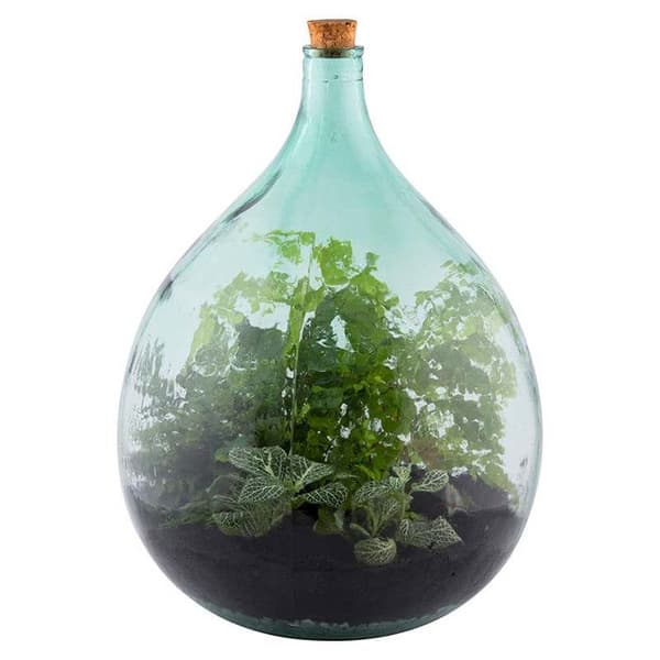 Terrarier är extremt trendiga! Tack vare detta kompletta kit kan du vara på modet samtidigt som du är stolt över att ha den