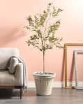 Miniatyrbilde 2 av 7: Blomsterpotte Lys Beige Polyresin ⌀ 43 cm Rund Glasurfinish Innendørs og Utendørs Bruk