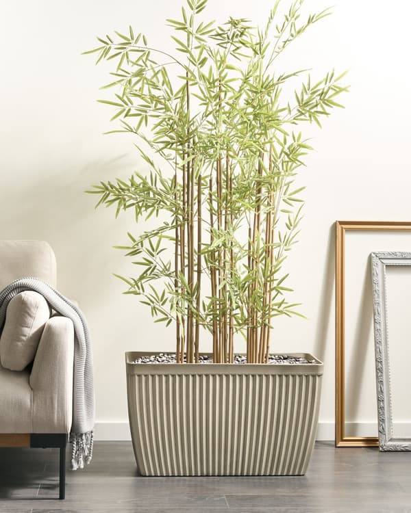 Blomsterpotte Beige Steinblanding Polyresin 73 x 32 cm Rektangulær Matt Matt Innendørs og Utendørs Bruk