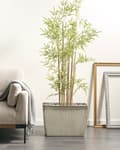 Miniatyrbilde 2 av 8: Blomsterpotte Beige Steinblanding Polyresin 58x28 cm Rektangulær Matt Matt Innendørs og Utendørs Bruk