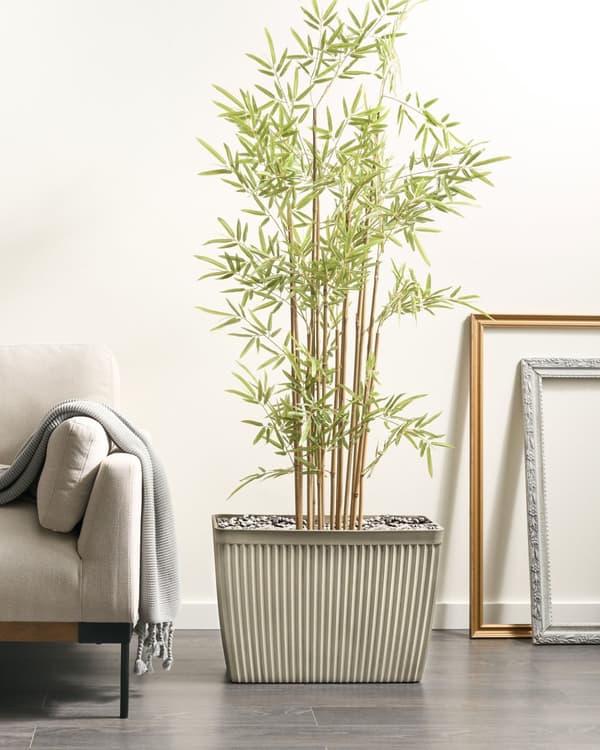 Blomsterpotte Beige Steinblanding Polyresin 58x28 cm Rektangulær Matt Matt Innendørs og Utendørs Bruk