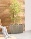 Miniatyrbillede 4 af 8: Plantekrukke Beige Polyresin 73 x 32 cm Krukke til Planter Indendørs Blomsterkrukke Udendørs Urtepotte Haven Rektangulær Gulvkrukke