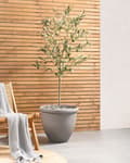 Miniatyrbillede 4 af 7: Plantekrukke Grå Polyresin Ø 49 cm Krukke til Planter Indendørs Blomsterkrukke Udendørs Urtepotte Haven Urtepotteskjuler Gulvkrukke