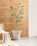 Miniatyrbillede 4 af 7: Plantekrukke Beige Polyresin Ø 43 cm Krukke til Planter Indendørs Blomsterkrukke Udendørs Urtepotte Haven Urtepotteskjuler Gulvkrukke