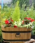 Miniatyrbillede 10 af 11: Blomsterstander i fyrretræ 60x38xH31 karat palisander